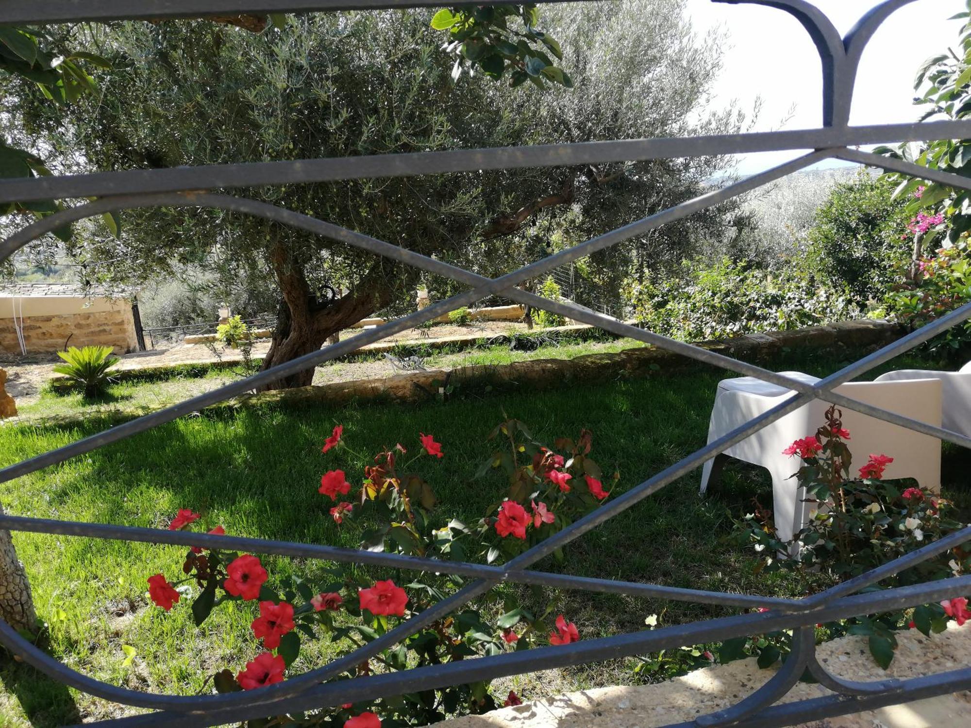אגריג'נטו A Casa Di Mammi Nella Valle Dei Templi חדר תמונה